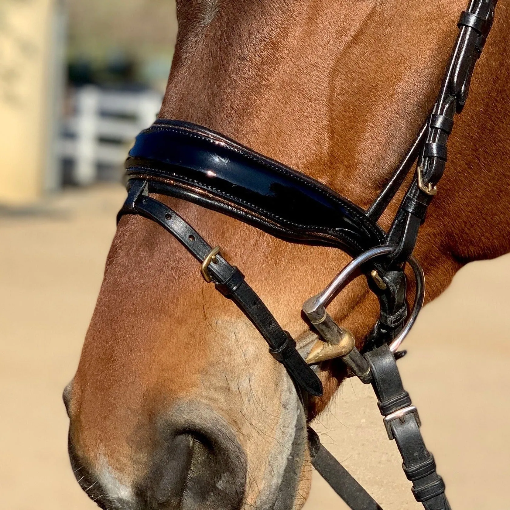Amalfi Black Patent Sparkle Snaffle Bridle - Flat