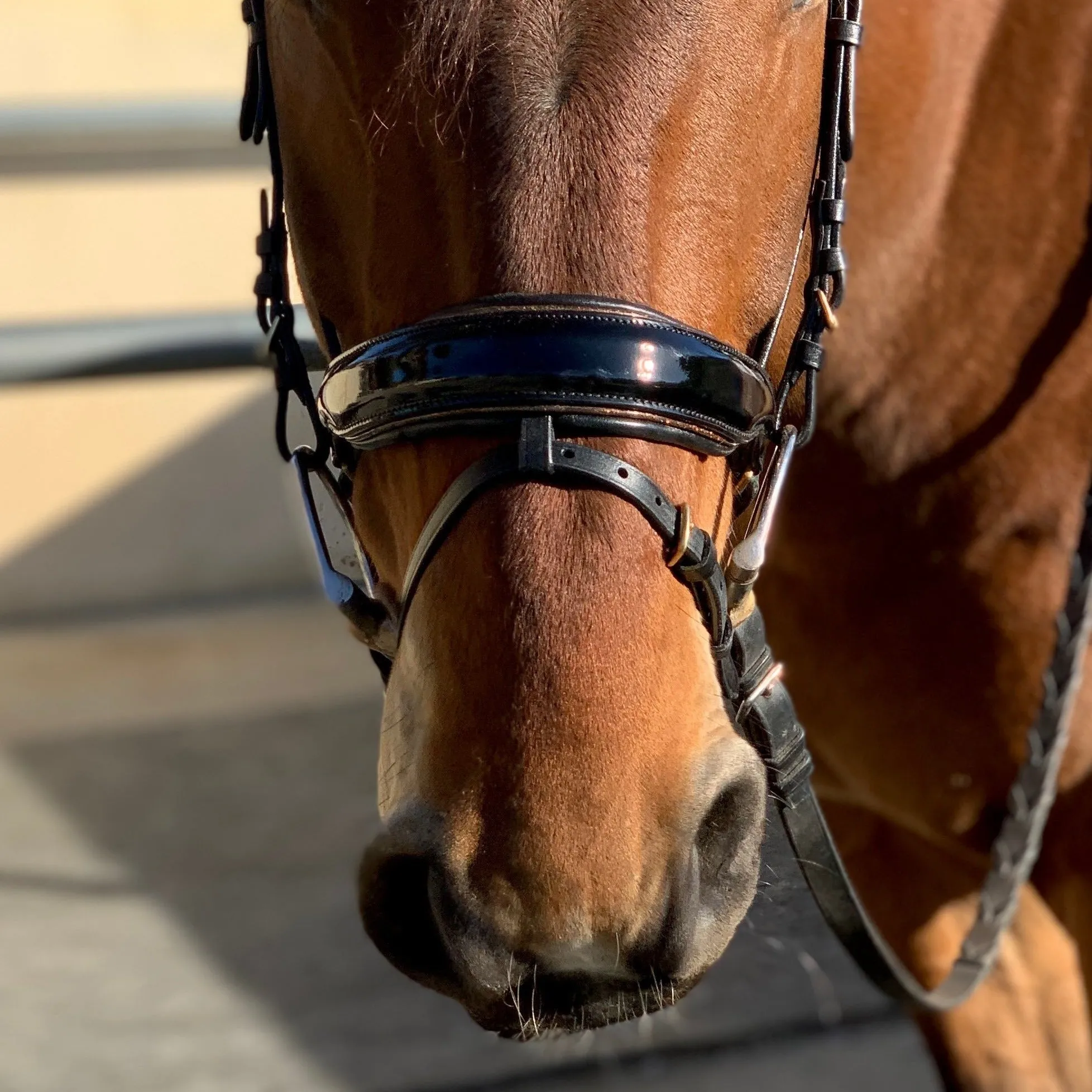 Amalfi Black Patent Sparkle Snaffle Bridle - Flat