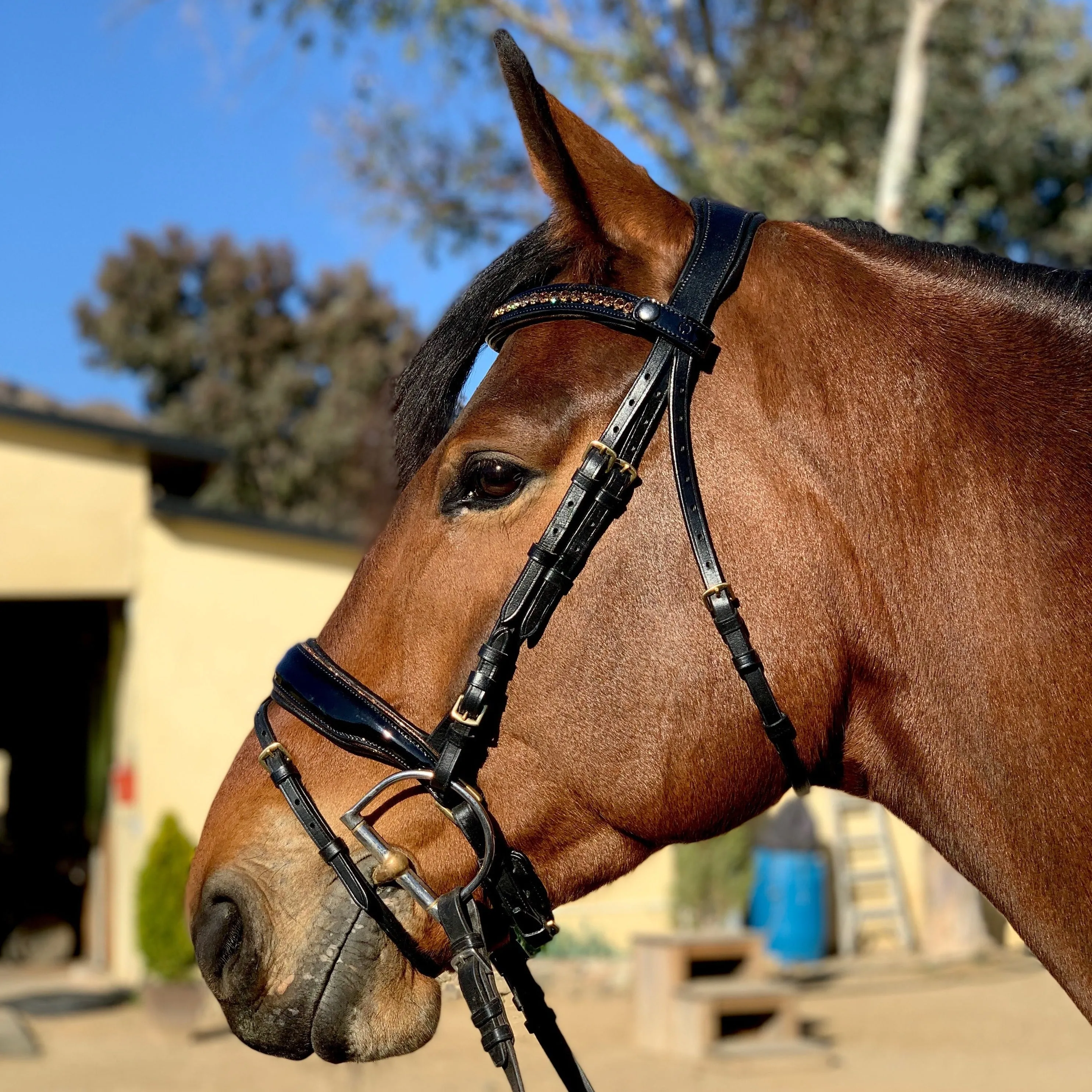 Amalfi Black Patent Sparkle Snaffle Bridle - Flat