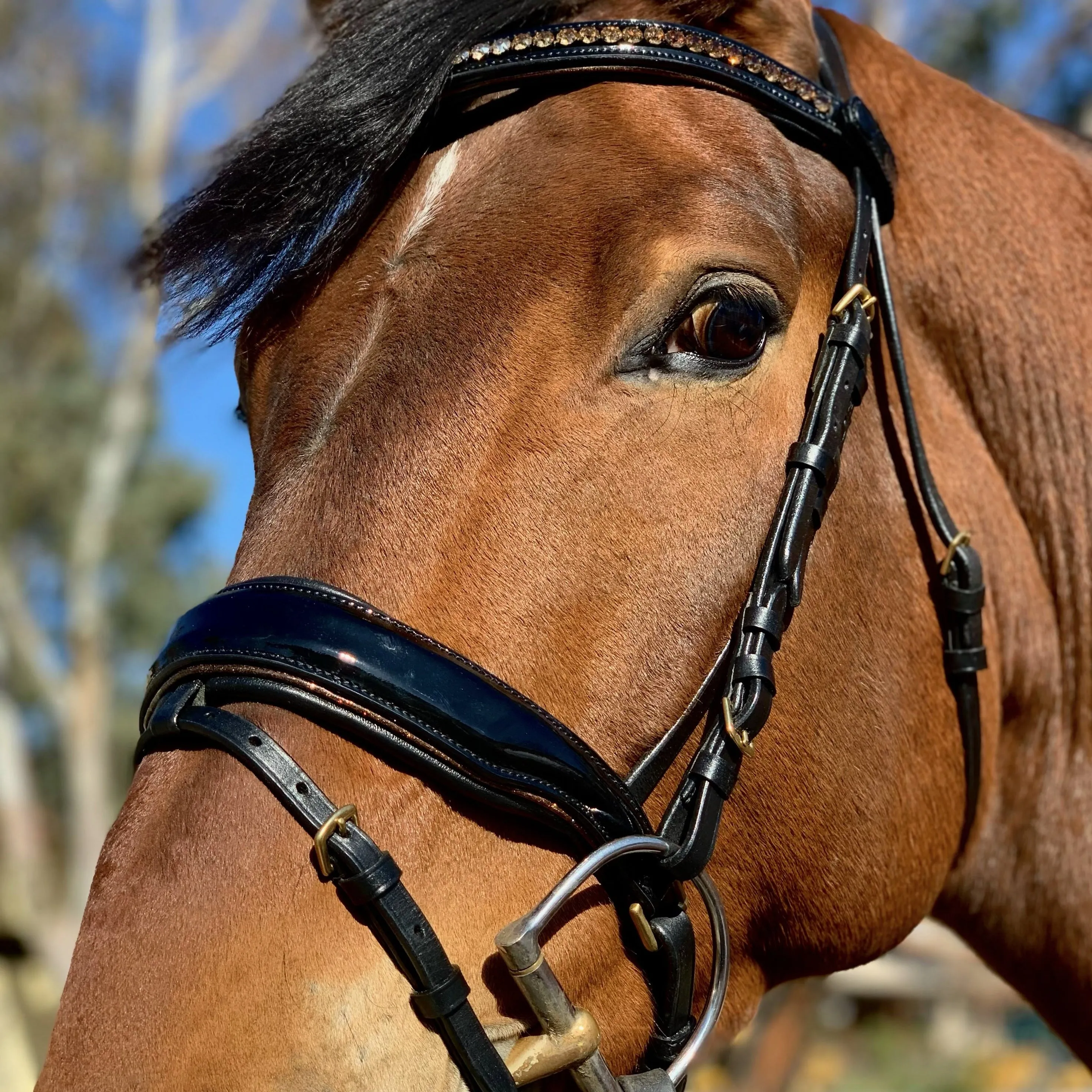 Amalfi Black Patent Sparkle Snaffle Bridle - Flat
