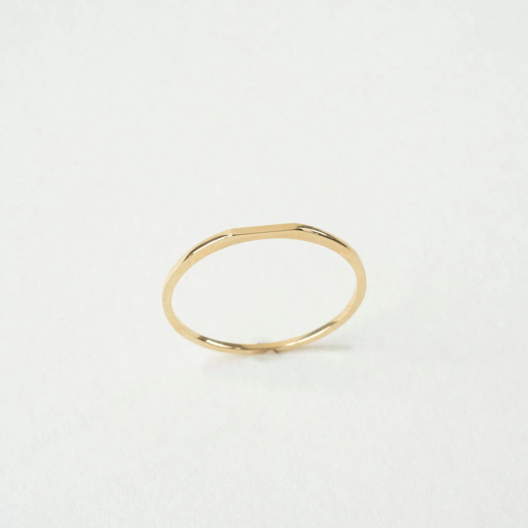 Blake 14K Solid Gold