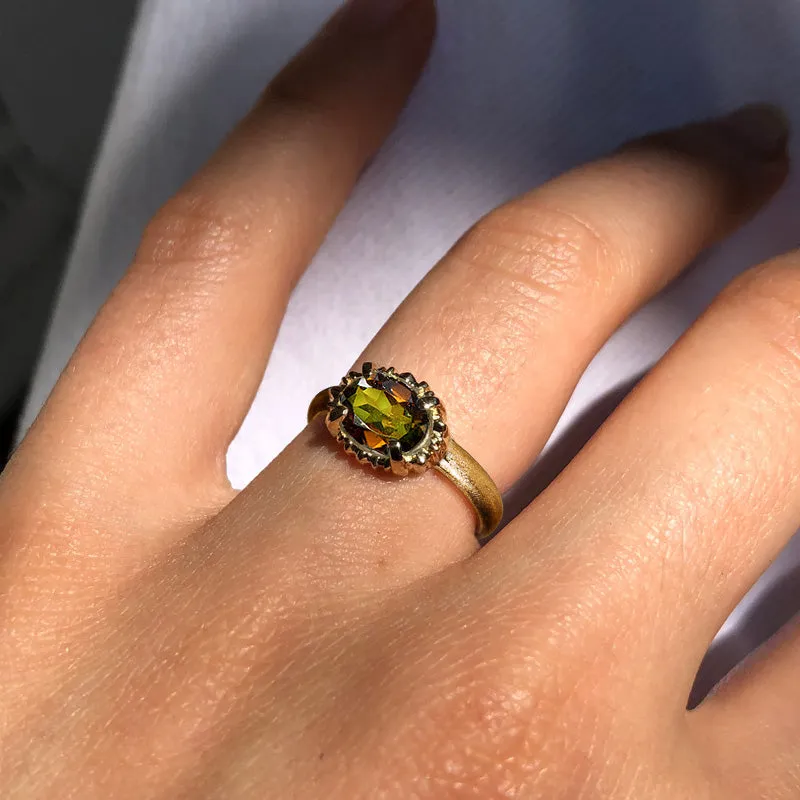 Ceres Ring, Parti Tourmaline, 9kt Yellow Gold
