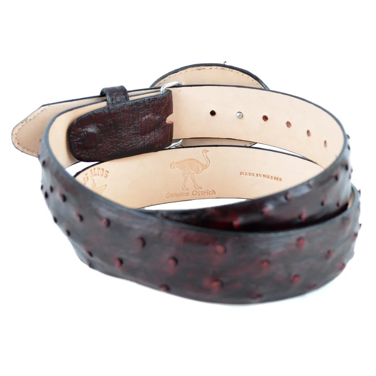 Men's Los altos Ostrich Cowboy Belt C11U0318