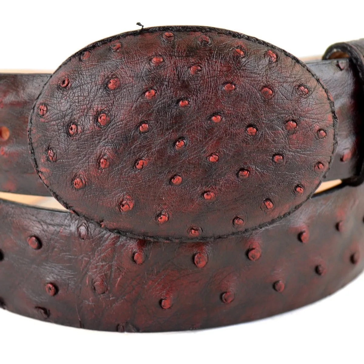 Men's Los altos Ostrich Cowboy Belt C11U0318